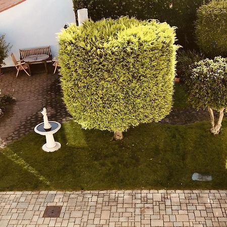 Casa Rehse I Stilvolles Apartment I 24H-Self-Check-In I Kostenlos Parken & Wlan I 55-Zoll-Smart&Kabel-Tv I Oepnv Erfurt Bagian luar foto